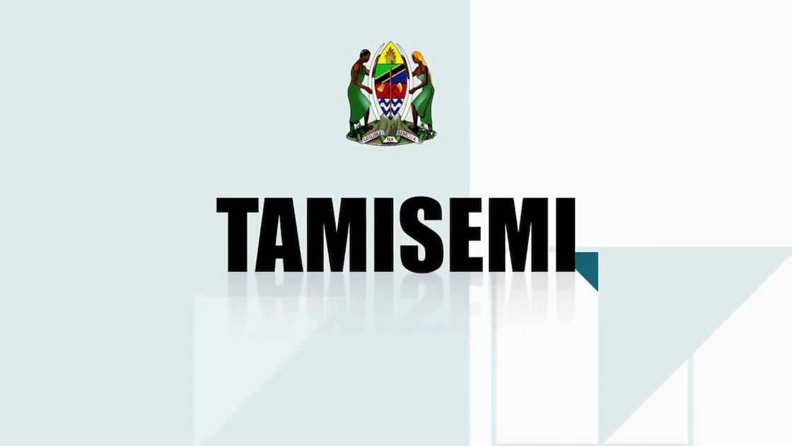 Tamisemi